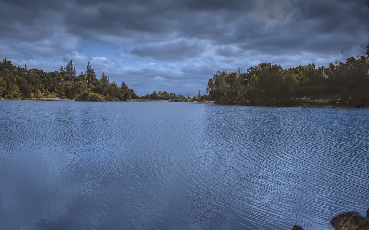 Trees and hills reflected in Vasona Lake